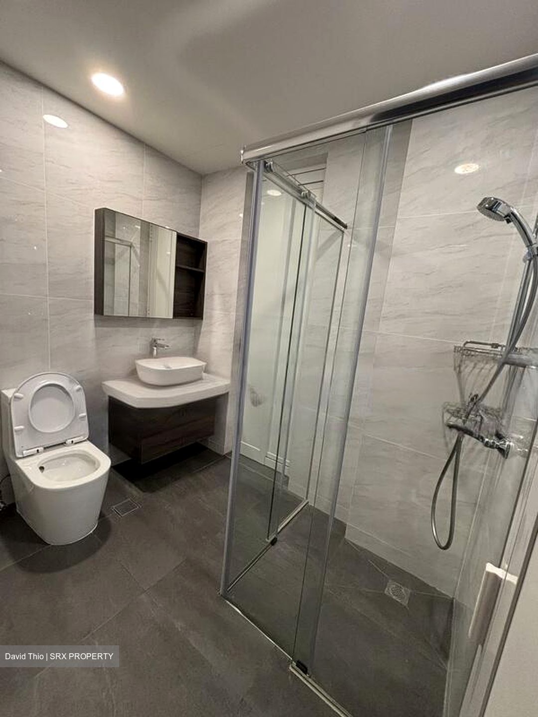 The Serenade @ Holland (D10), Condominium #453833881